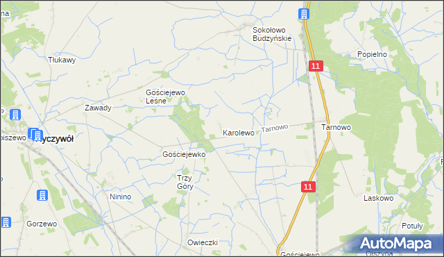 mapa Karolewo gmina Rogoźno, Karolewo gmina Rogoźno na mapie Targeo