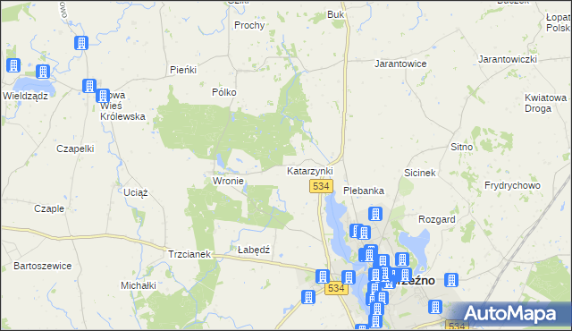 mapa Katarzynki gmina Ryńsk, Katarzynki gmina Ryńsk na mapie Targeo