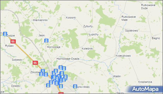 mapa Koleśniki gmina Mońki, Koleśniki gmina Mońki na mapie Targeo