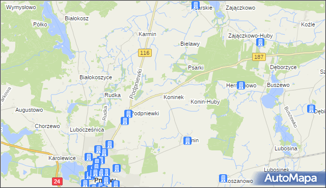 mapa Koninek gmina Pniewy, Koninek gmina Pniewy na mapie Targeo