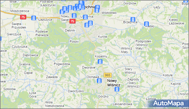 mapa Kopaliny gmina Nowy Wiśnicz, Kopaliny gmina Nowy Wiśnicz na mapie Targeo