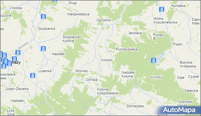mapa Koszoły, Koszoły na mapie Targeo