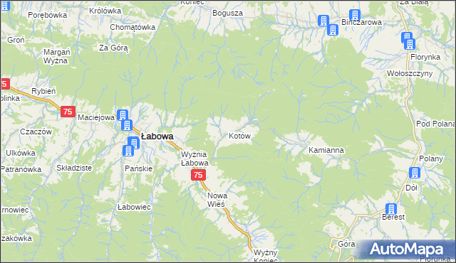 mapa Kotów gmina Łabowa, Kotów gmina Łabowa na mapie Targeo