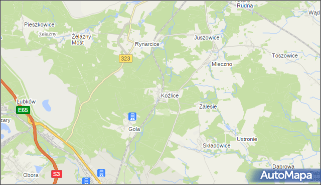 mapa Koźlice gmina Rudna, Koźlice gmina Rudna na mapie Targeo