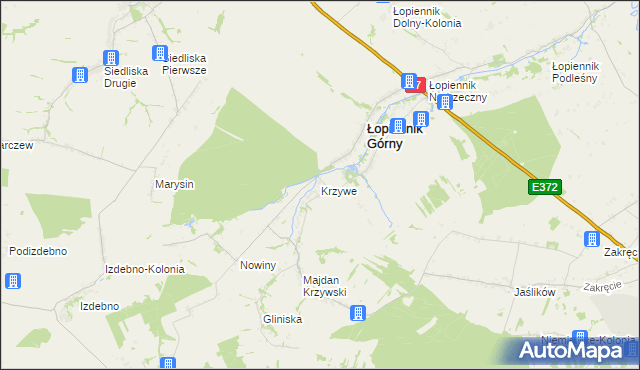 mapa Krzywe gmina Łopiennik Górny, Krzywe gmina Łopiennik Górny na mapie Targeo