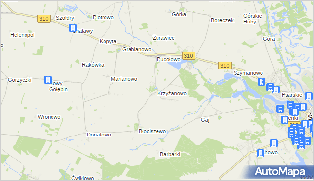 mapa Krzyżanowo gmina Śrem, Krzyżanowo gmina Śrem na mapie Targeo