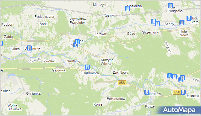 mapa Kurzyna Wielka, Kurzyna Wielka na mapie Targeo