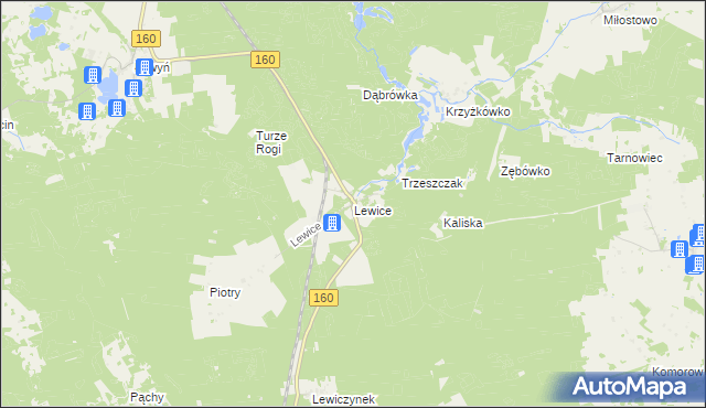 mapa Lewice gmina Międzychód, Lewice gmina Międzychód na mapie Targeo