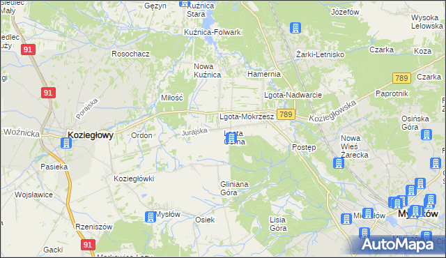 mapa Lgota Górna, Lgota Górna na mapie Targeo