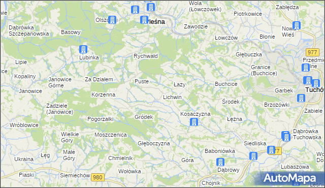 mapa Lichwin gmina Pleśna, Lichwin gmina Pleśna na mapie Targeo