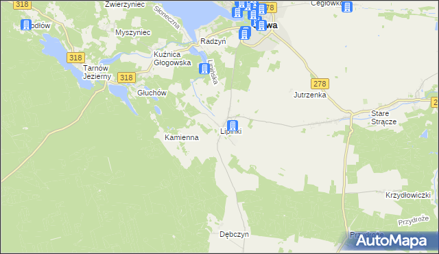 mapa Lipinki gmina Sława, Lipinki gmina Sława na mapie Targeo