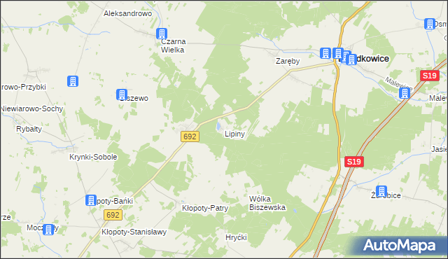 mapa Lipiny gmina Dziadkowice, Lipiny gmina Dziadkowice na mapie Targeo