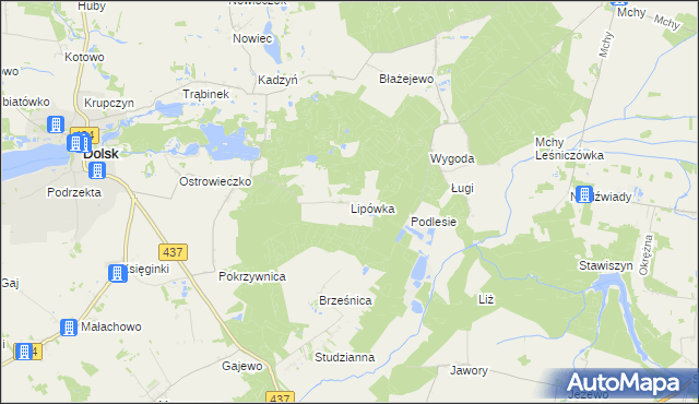 mapa Lipówka gmina Dolsk, Lipówka gmina Dolsk na mapie Targeo