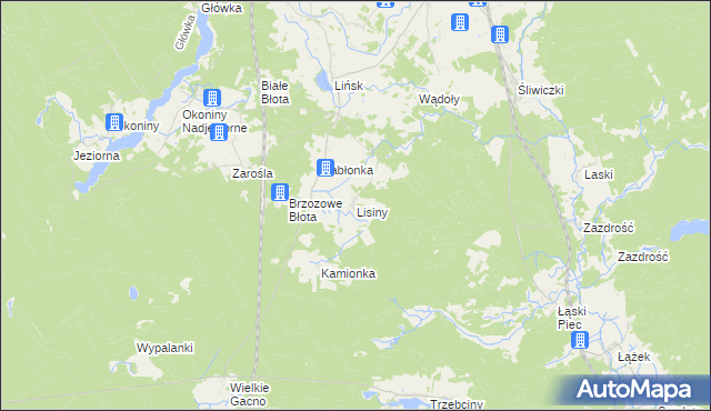 mapa Lisiny gmina Śliwice, Lisiny gmina Śliwice na mapie Targeo