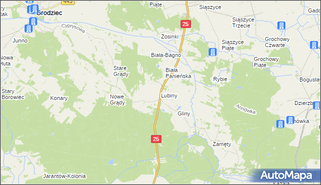 mapa Lubiny gmina Rychwał, Lubiny gmina Rychwał na mapie Targeo