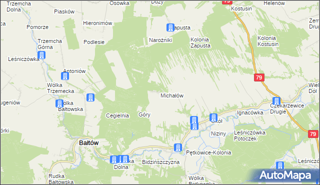 mapa Michałów gmina Bałtów, Michałów gmina Bałtów na mapie Targeo