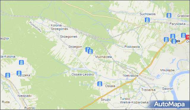 mapa Mucharzew, Mucharzew na mapie Targeo