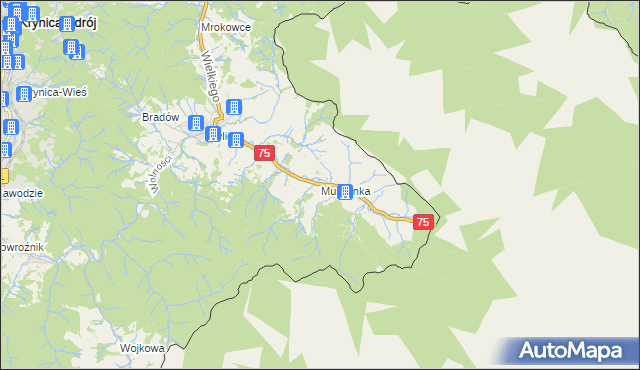 mapa Muszynka, Muszynka na mapie Targeo