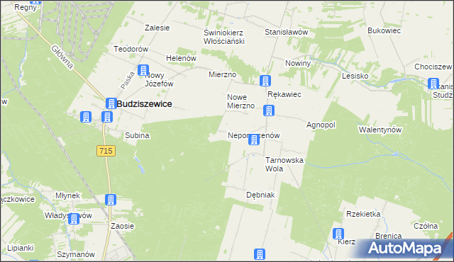 mapa Nepomucenów gmina Budziszewice, Nepomucenów gmina Budziszewice na mapie Targeo