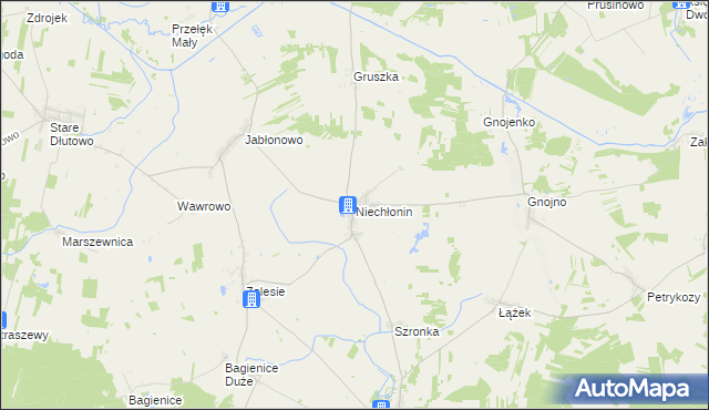 mapa Niechłonin, Niechłonin na mapie Targeo