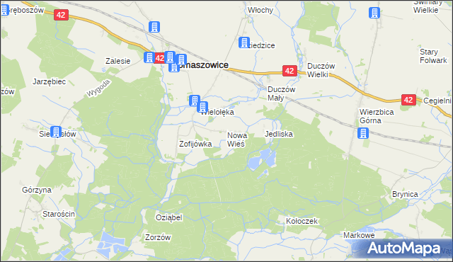 mapa Nowa Wieś gmina Domaszowice, Nowa Wieś gmina Domaszowice na mapie Targeo