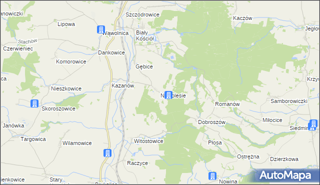 mapa Nowolesie, Nowolesie na mapie Targeo