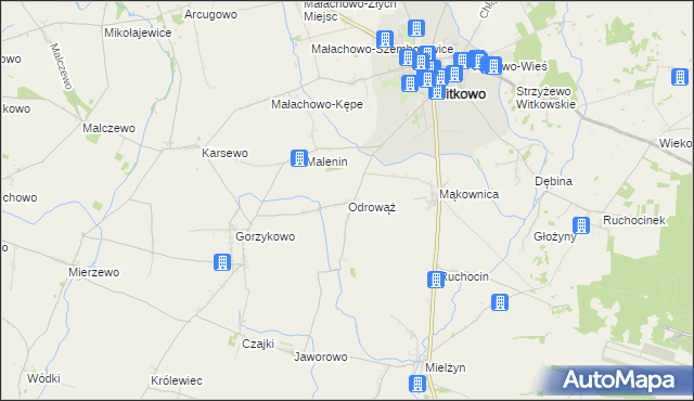 mapa Odrowąż gmina Witkowo, Odrowąż gmina Witkowo na mapie Targeo