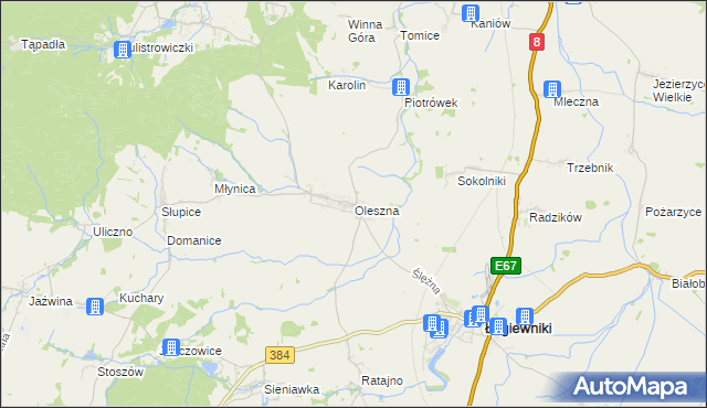 mapa Oleszna, Oleszna na mapie Targeo
