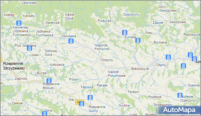 mapa Olszyny gmina Rzepiennik Strzyżewski, Olszyny gmina Rzepiennik Strzyżewski na mapie Targeo