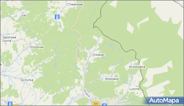 mapa Orłowiec, Orłowiec na mapie Targeo