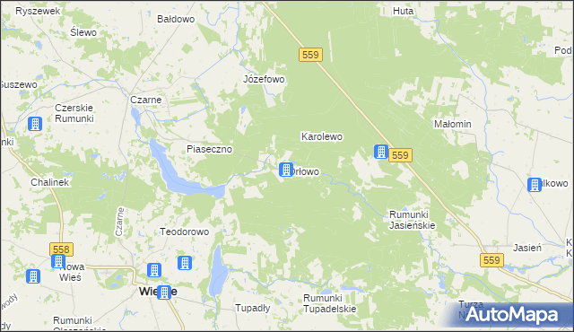 mapa Orłowo gmina Wielgie, Orłowo gmina Wielgie na mapie Targeo