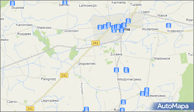 mapa Palmierowo, Palmierowo na mapie Targeo