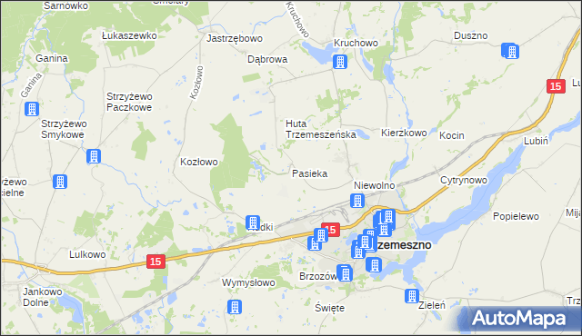 mapa Pasieka gmina Trzemeszno, Pasieka gmina Trzemeszno na mapie Targeo