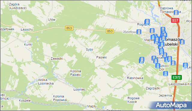 mapa Pasieki gmina Tomaszów Lubelski, Pasieki gmina Tomaszów Lubelski na mapie Targeo