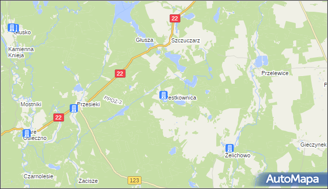 mapa Pestkownica, Pestkownica na mapie Targeo