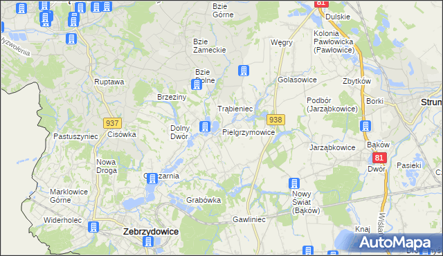 mapa Pielgrzymowice gmina Pawłowice, Pielgrzymowice gmina Pawłowice na mapie Targeo