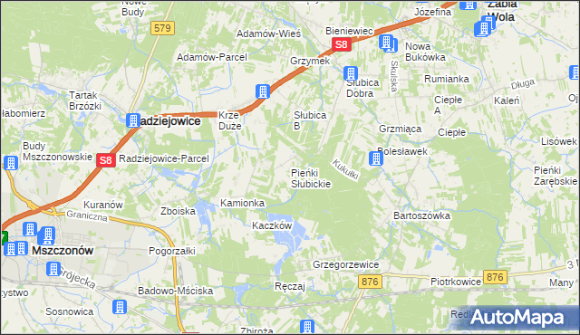 mapa Pieńki Słubickie, Pieńki Słubickie na mapie Targeo