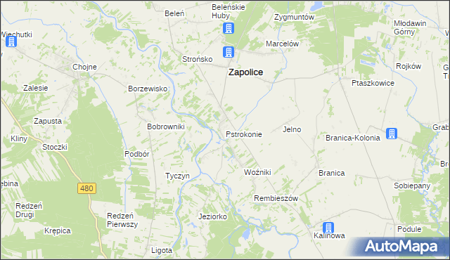 mapa Pstrokonie, Pstrokonie na mapie Targeo