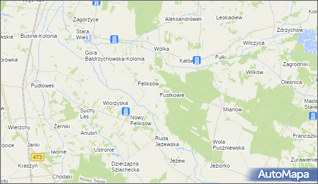 mapa Pustkowie gmina Poddębice, Pustkowie gmina Poddębice na mapie Targeo