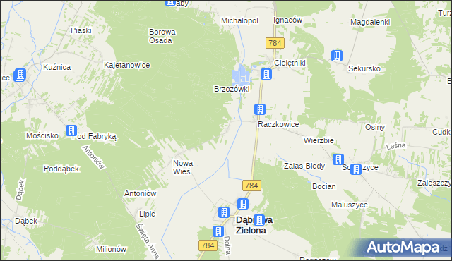 mapa Raczkowice-Kolonia, Raczkowice-Kolonia na mapie Targeo