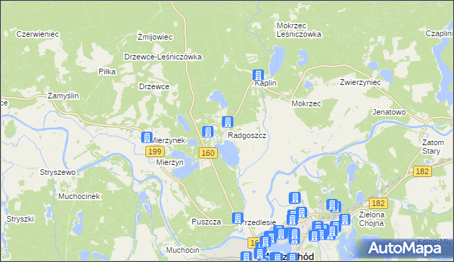 mapa Radgoszcz gmina Międzychód, Radgoszcz gmina Międzychód na mapie Targeo