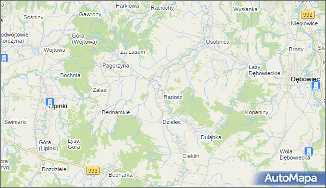 mapa Radość gmina Dębowiec, Radość gmina Dębowiec na mapie Targeo