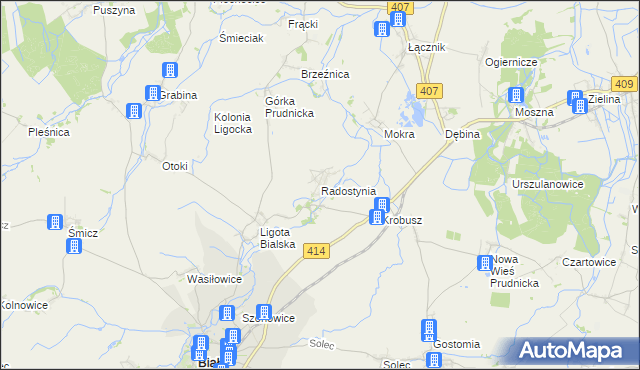 mapa Radostynia, Radostynia na mapie Targeo