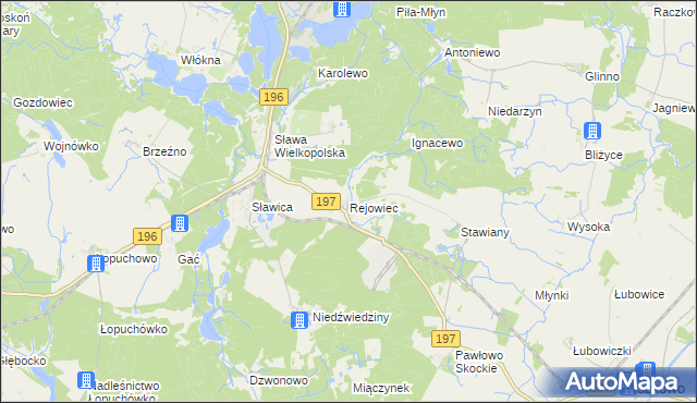 mapa Rejowiec gmina Skoki, Rejowiec gmina Skoki na mapie Targeo