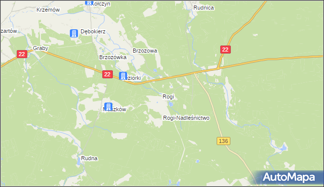mapa Rogi gmina Lubniewice, Rogi gmina Lubniewice na mapie Targeo