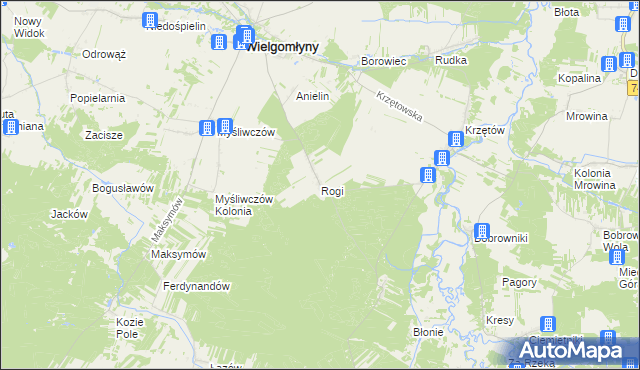 mapa Rogi gmina Wielgomłyny, Rogi gmina Wielgomłyny na mapie Targeo