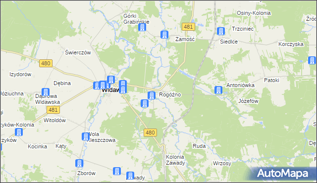 mapa Rogóźno gmina Widawa, Rogóźno gmina Widawa na mapie Targeo
