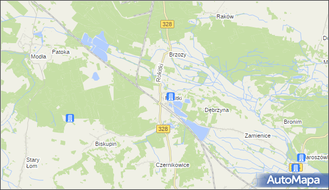 mapa Rokitki gmina Chojnów, Rokitki gmina Chojnów na mapie Targeo