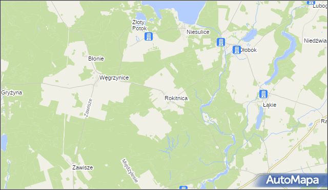 mapa Rokitnica gmina Skąpe, Rokitnica gmina Skąpe na mapie Targeo