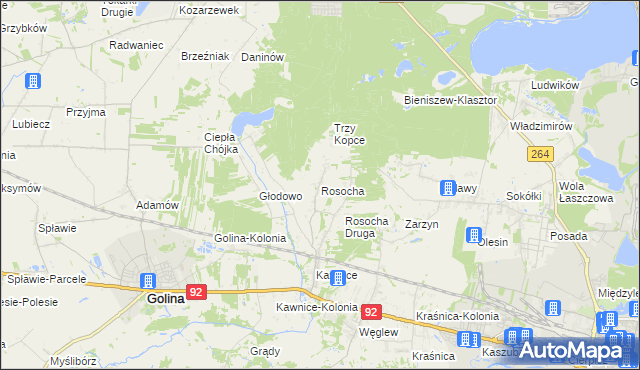 mapa Rosocha gmina Golina, Rosocha gmina Golina na mapie Targeo